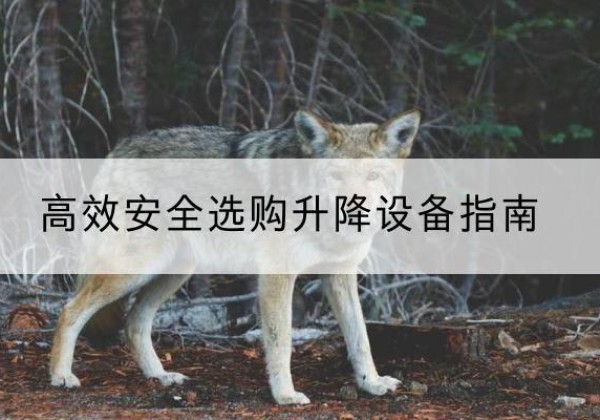 深泽升降货梯厂家推荐-*安全选购升降设备指南