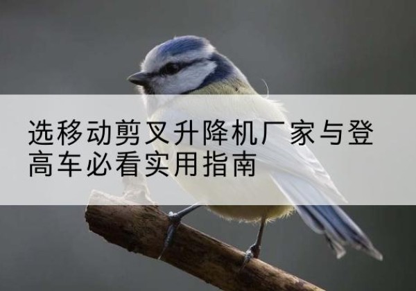 深泽电动升降机厂家-选移动剪叉升降机厂家与登高车必看实用指南